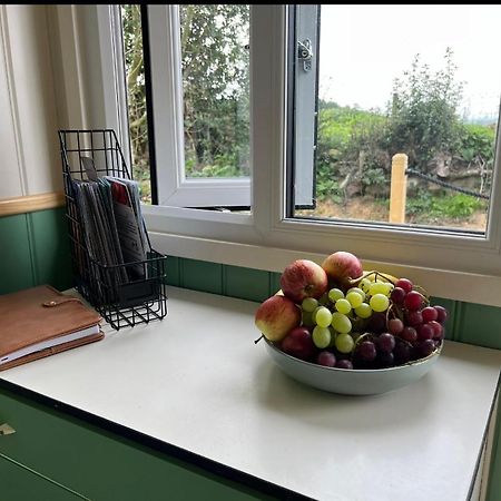 Ted'S Shed Apartment Bishop Auckland Bagian luar foto