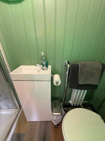 Ted'S Shed Apartment Bishop Auckland Bagian luar foto